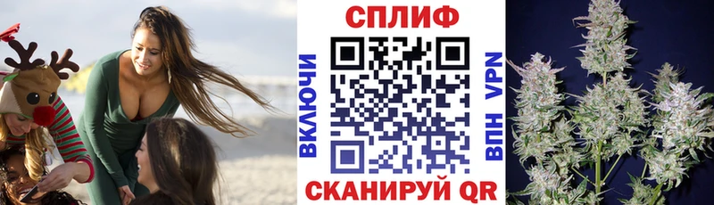 купить   Северо-Курильск  Бошки марихуана ГИДРОПОН 
